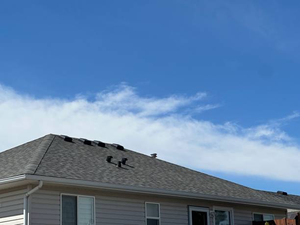 Best Roof Maintenance and Cleaning  in Noroton Heights, CT